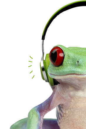 frog-newsletter2.png